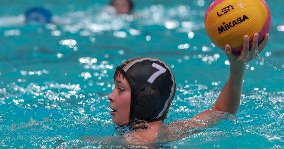 Wasserball