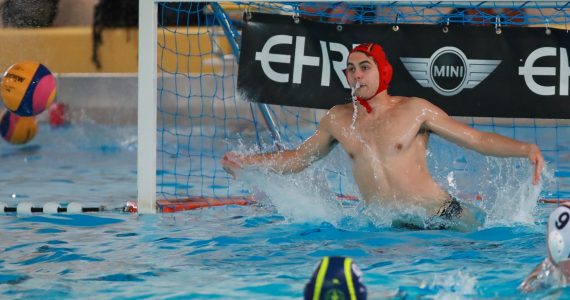 Wasserball