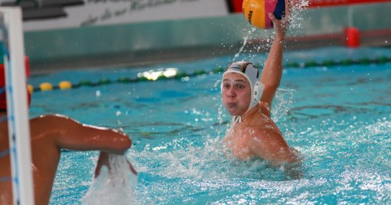 Wasserball