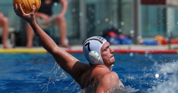 Wasserball