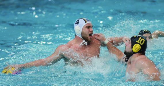 Wasserball
