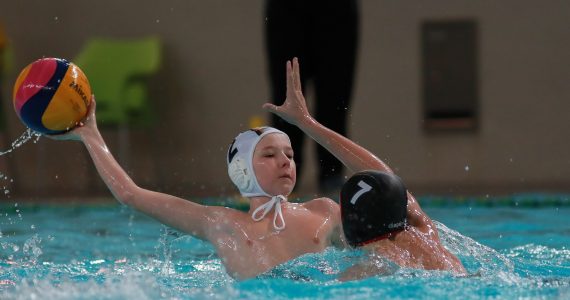 Wasserball