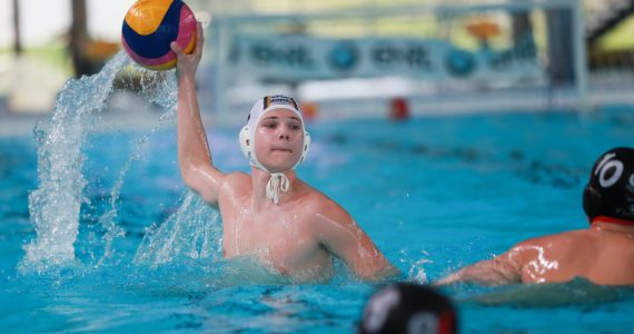Wasserball