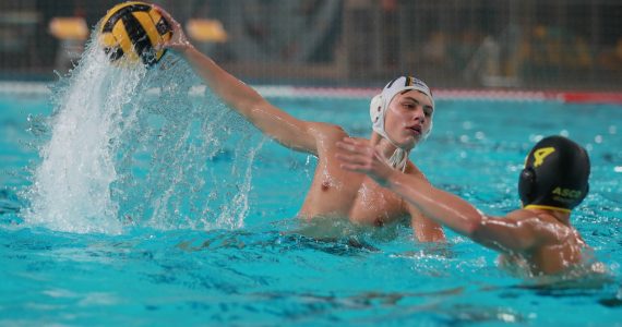 Wasserball