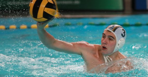 Wasserball