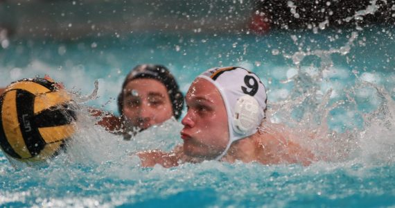 Wasserball