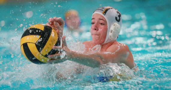 Wasserball