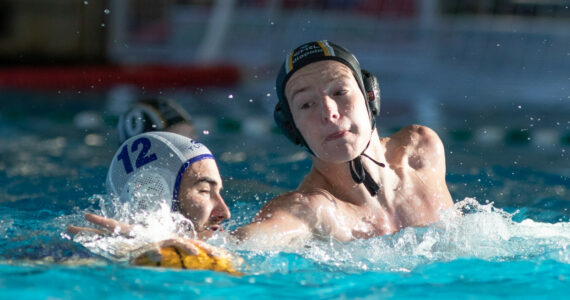 Wasserball
