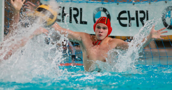 Wasserball