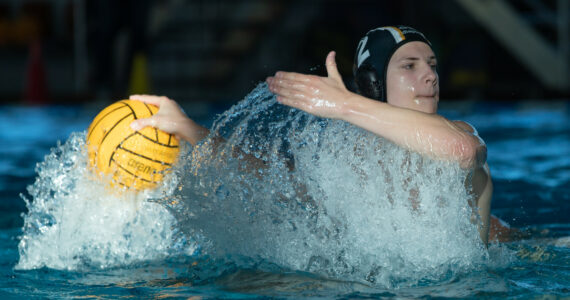 Wasserball