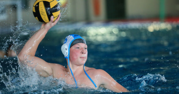 Wasserball