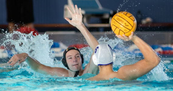 Wasserball