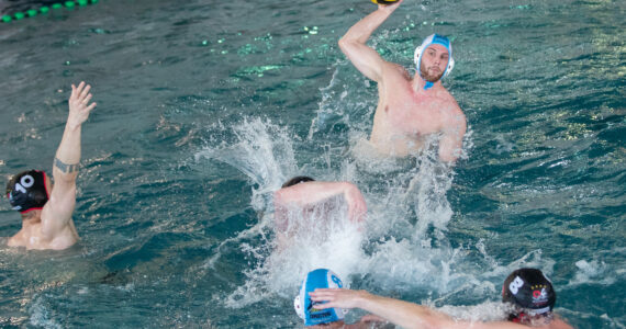 Wasserball