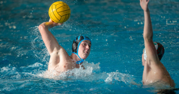 Wasserball
