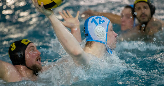 Wasserball