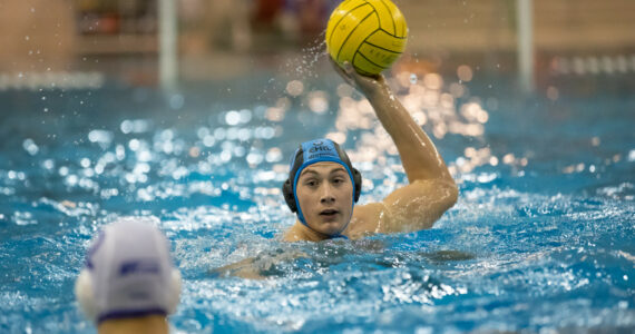 Wasserball
