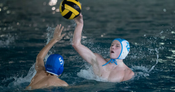 Wasserball