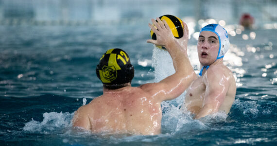 Wasserball