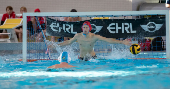 Wasserball