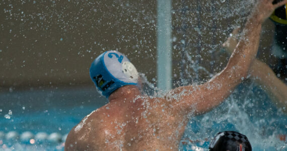 Wasserball