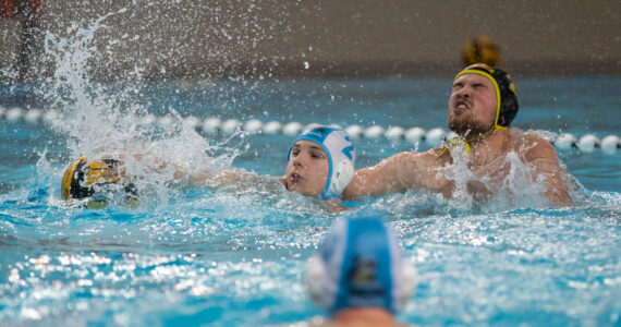 Wasserball