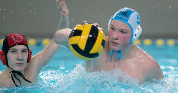 Wasserball