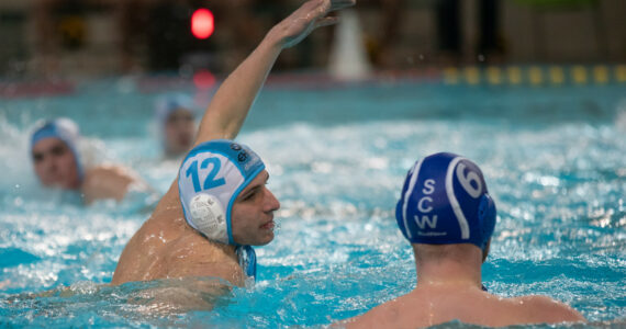 Wasserball