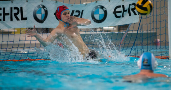 Wasserball