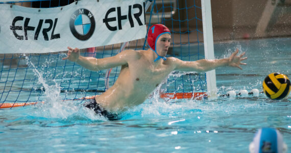 Wasserball