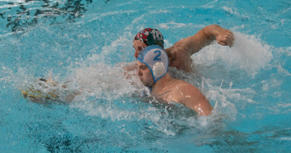 Wasserball