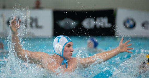 Wasserball