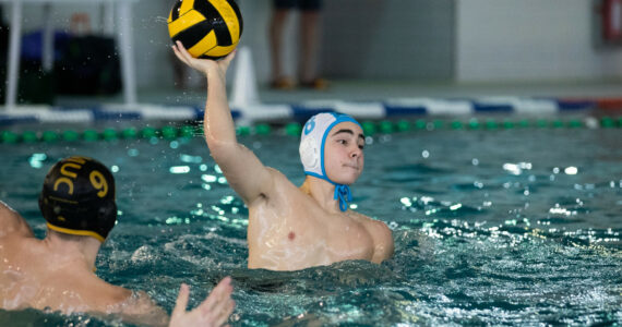 Wasserball
