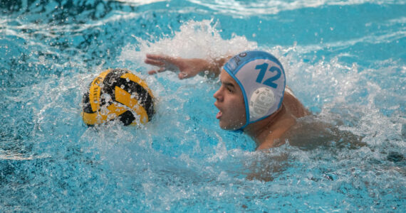 Wasserball