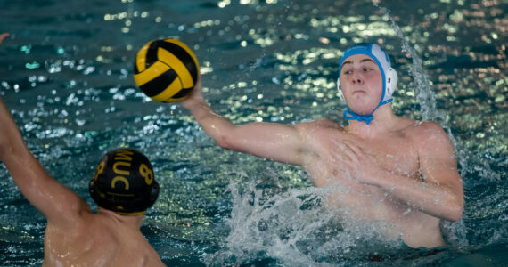 Wasserball