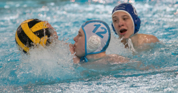Wasserball