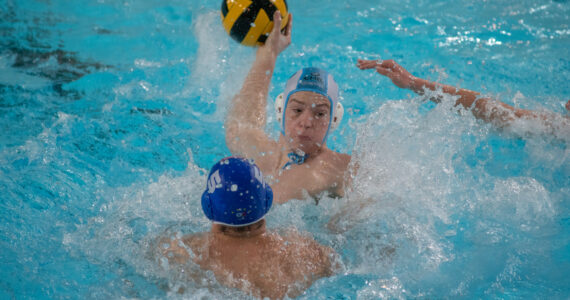 Wasserball