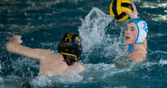 Wasserball
