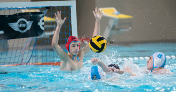 Wasserball