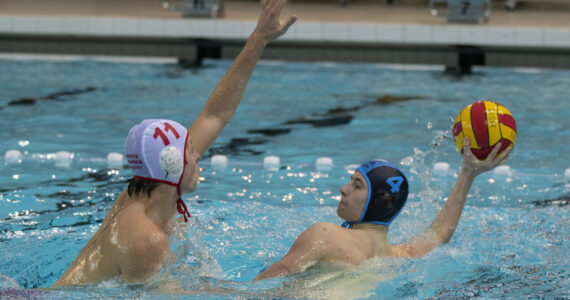 Wasserball