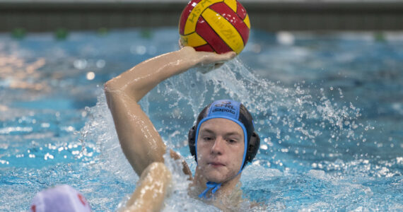 Wasserball