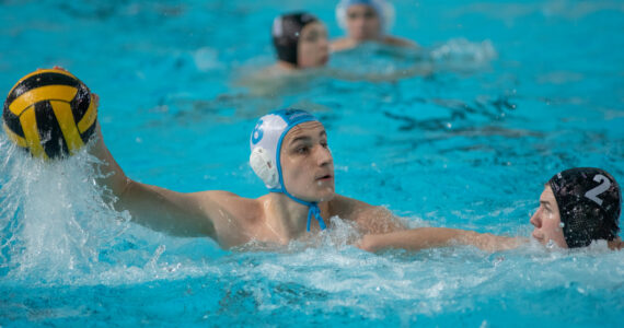 Wasserball