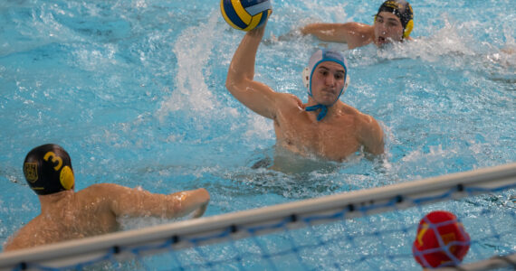 Wasserball
