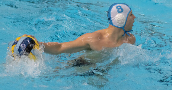 Wasserball