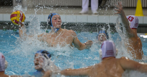 Wasserball