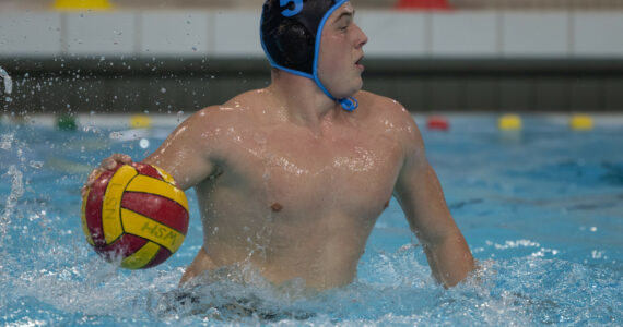 Wasserball