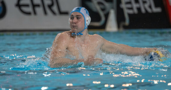 Wasserball