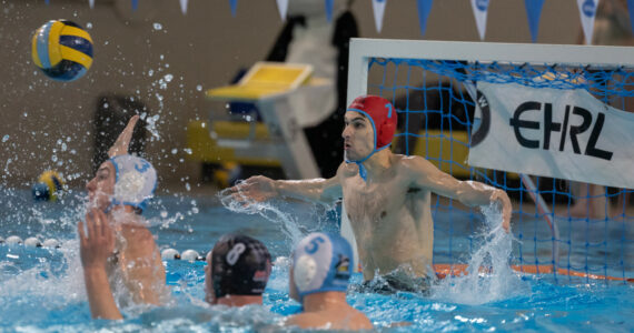 Wasserball