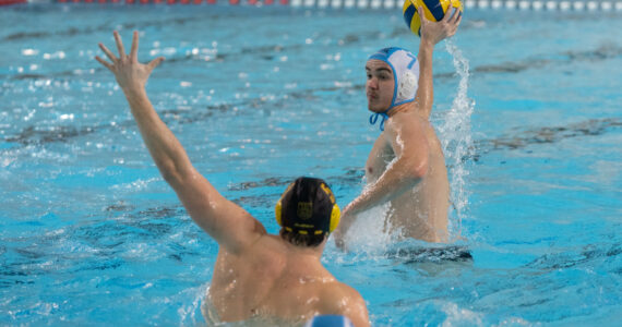 Wasserball