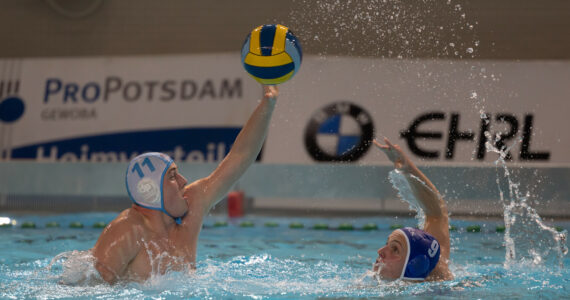 Wasserball