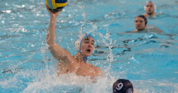 Wasserball